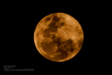 Nikon D7200 sample photo. Last night moon photography