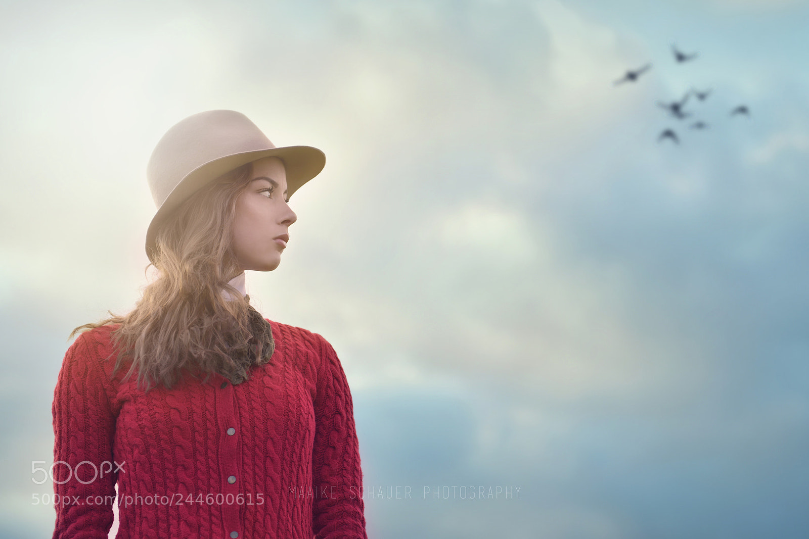 Nikon D850 sample photo. The birds photography