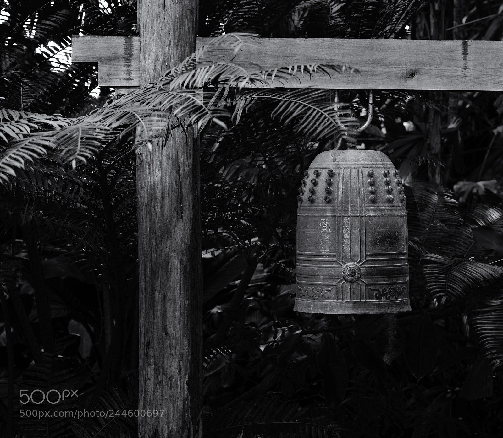 Hasselblad X1D-50c sample photo. Japanese bell photography