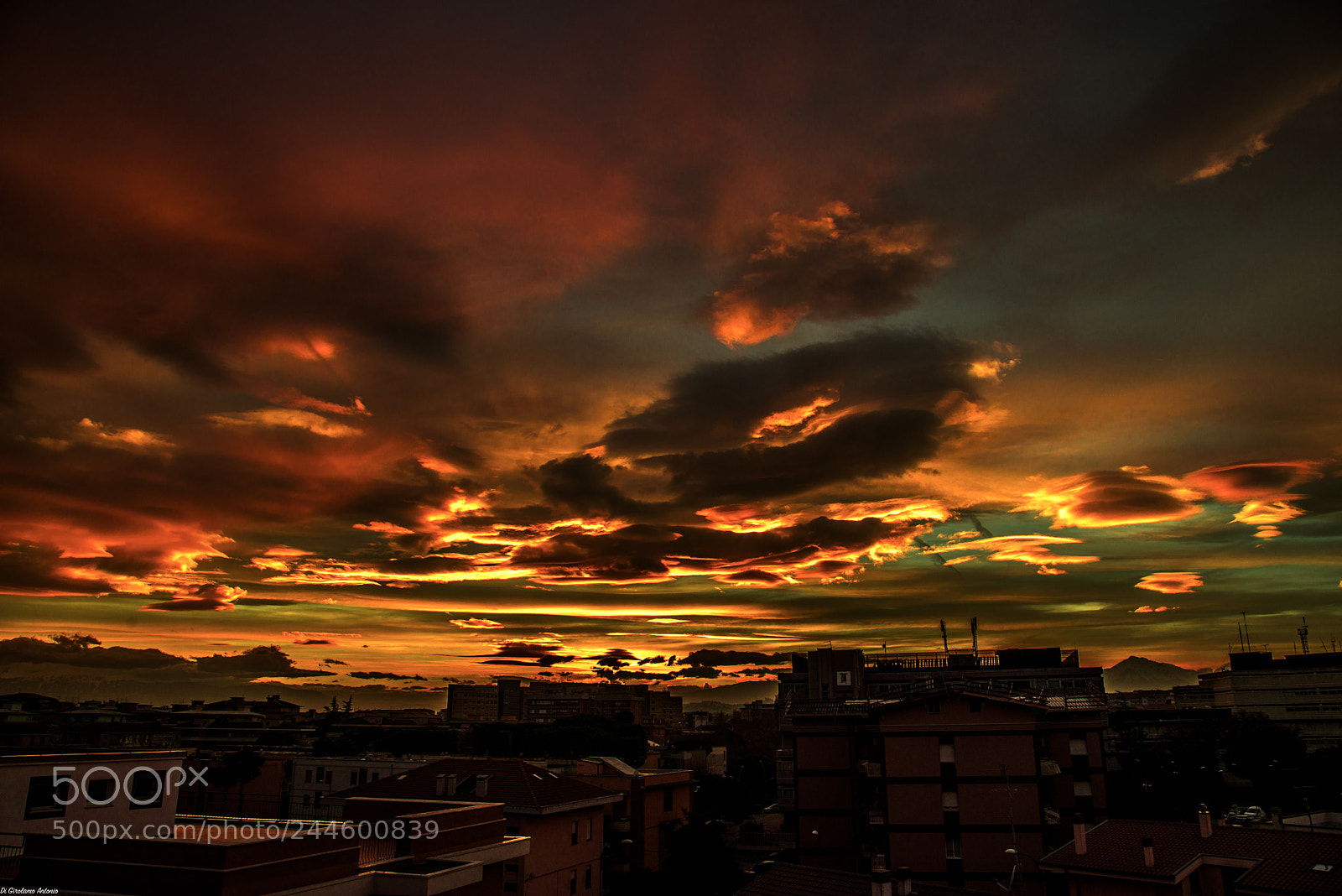 Nikon D800 sample photo. Autumn's sunset photography