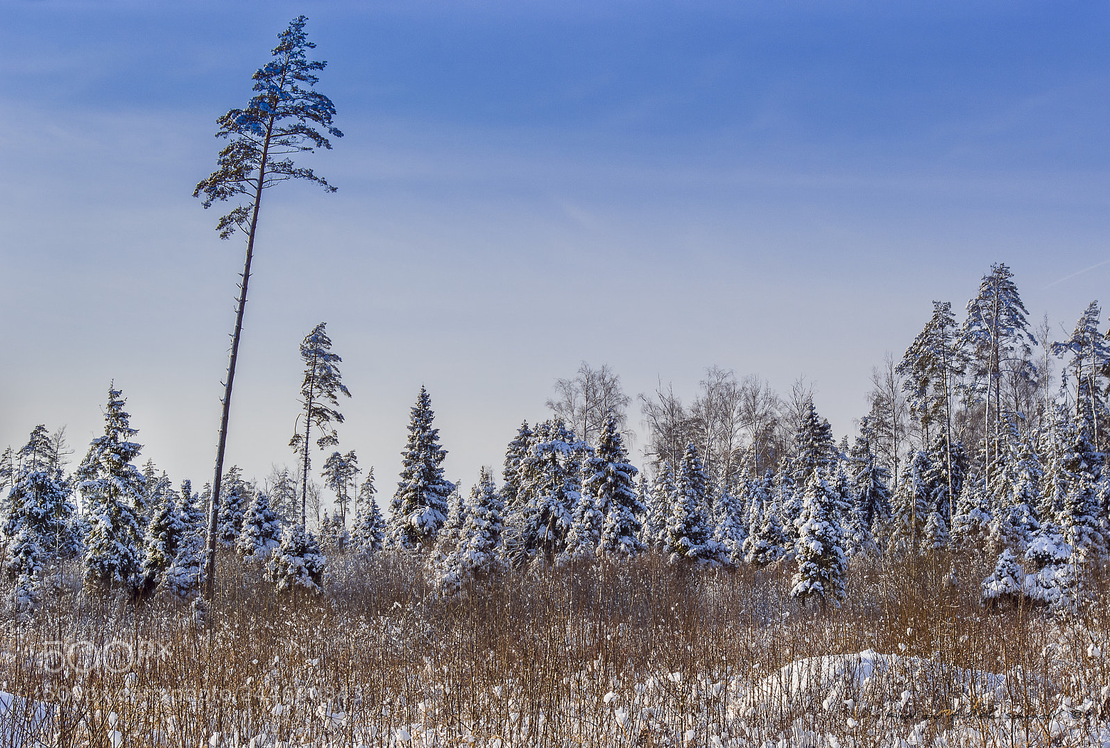 Pentax K20D sample photo. Winter photography