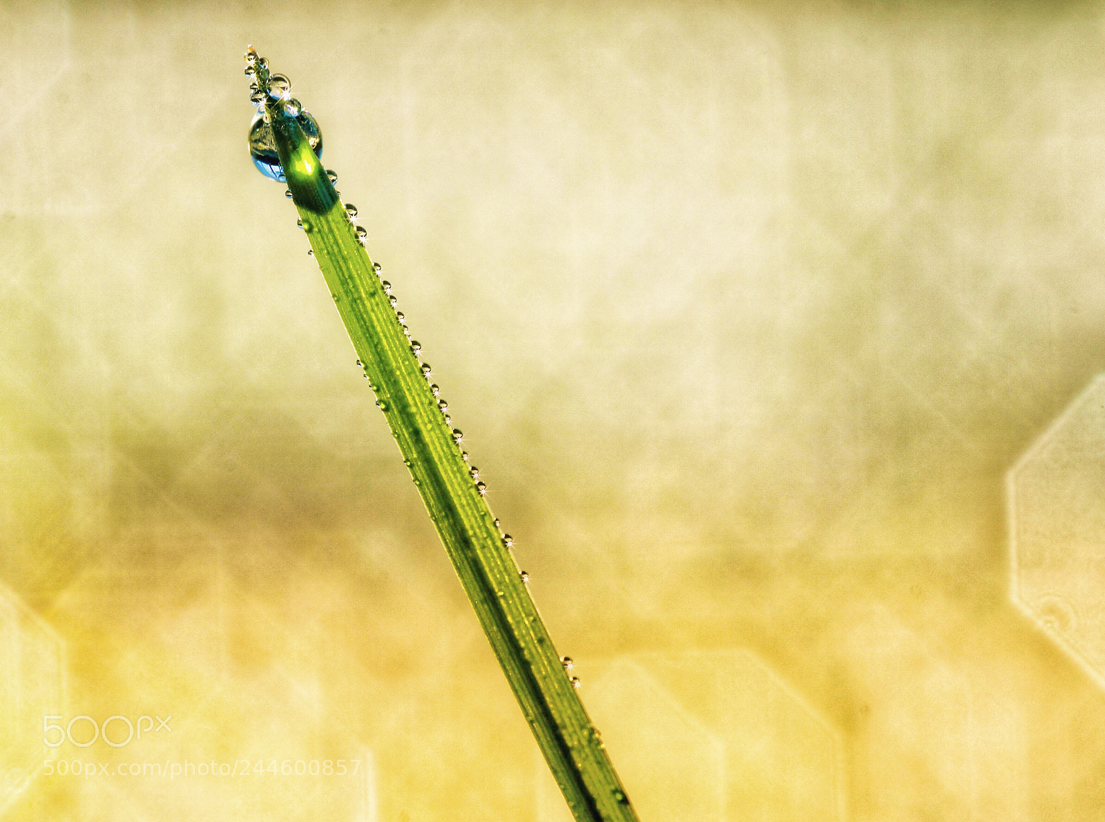 Nikon D610 sample photo. Untitled photography