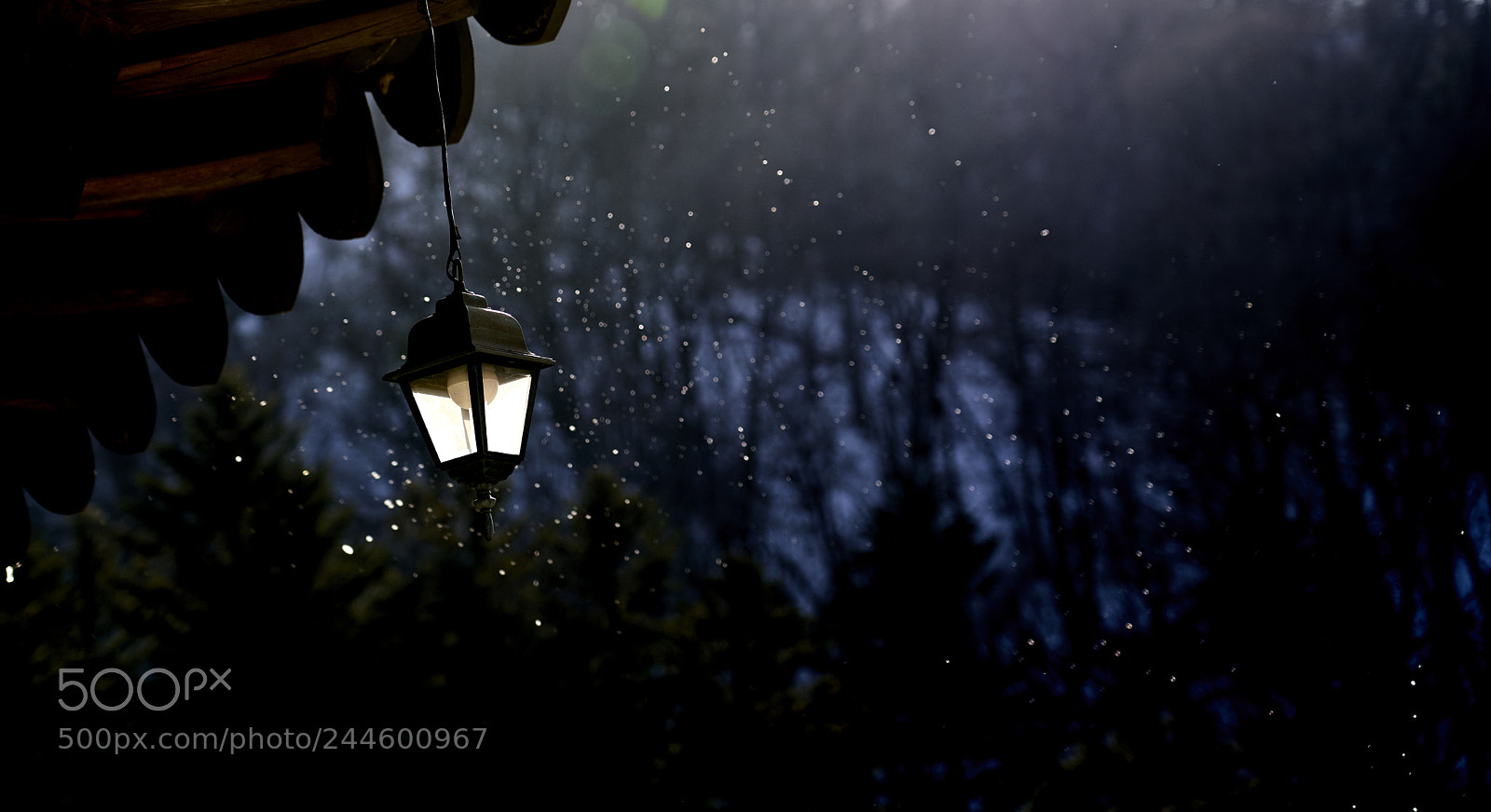 Sony a7R III sample photo. Woljeongsa photography