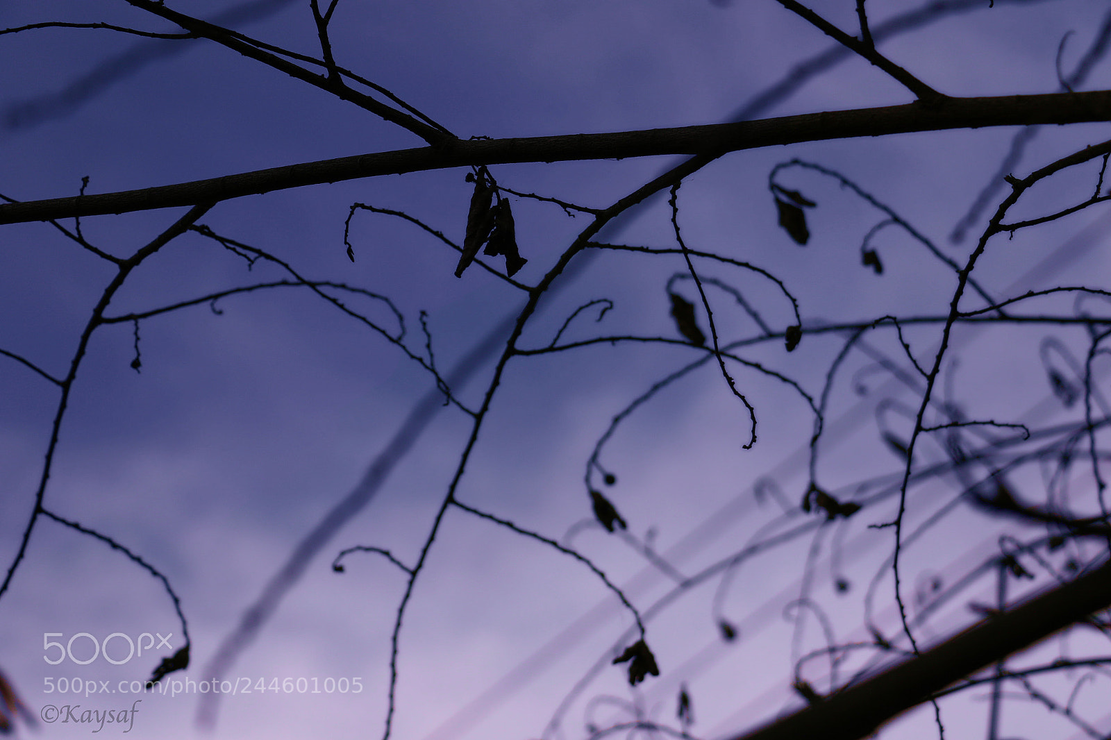 Canon EOS 7D Mark II sample photo. Haze photography