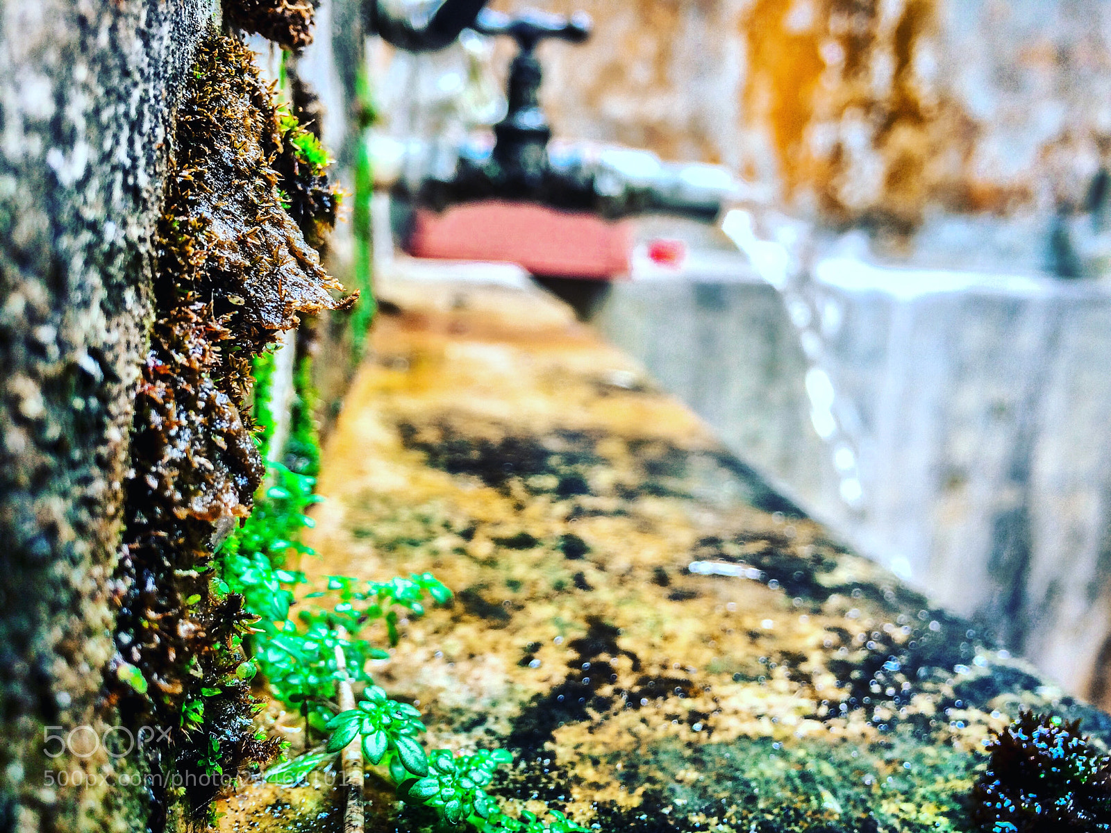 Apple iPhone 5s sample photo. Untitled photography