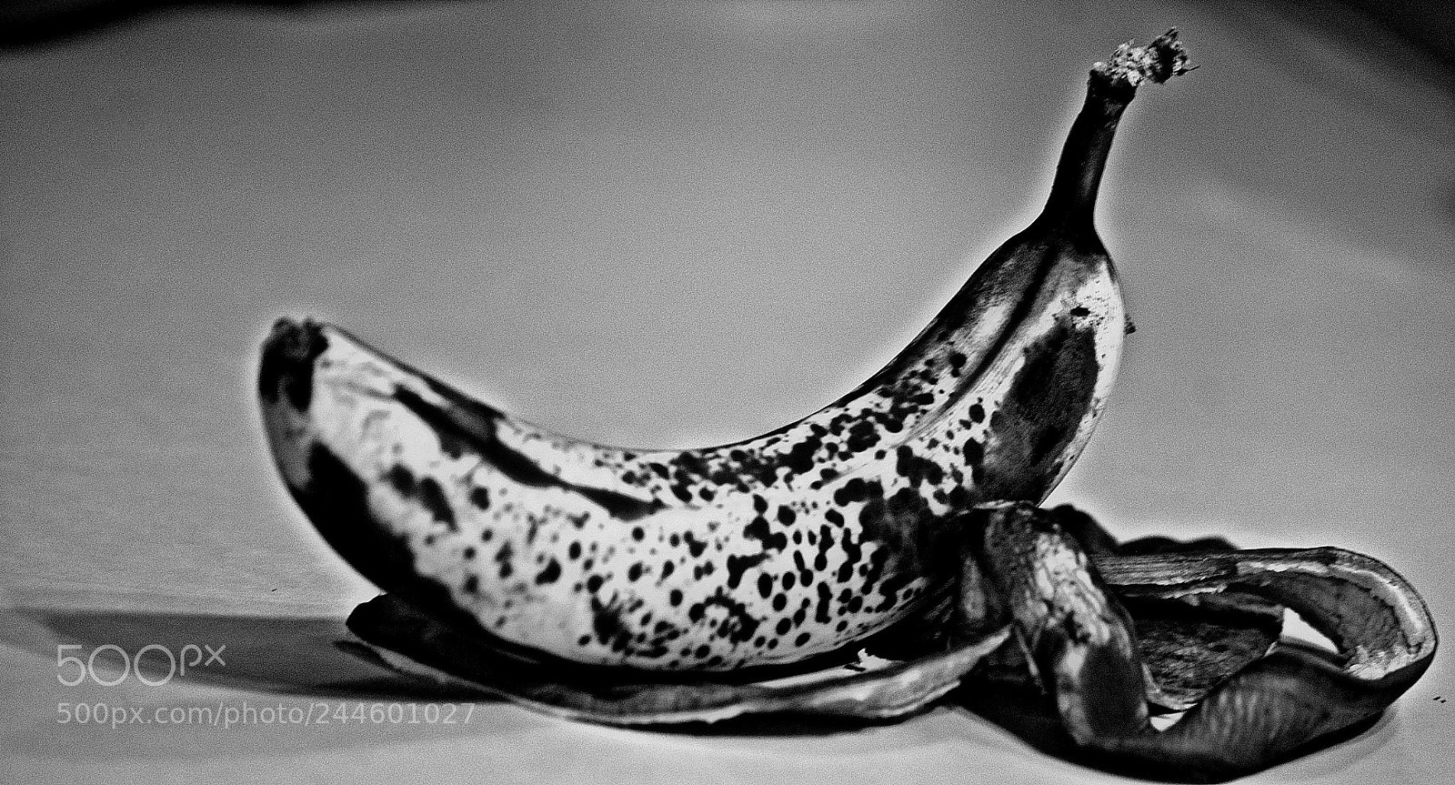 Nikon D40 sample photo. Food in black&white photography