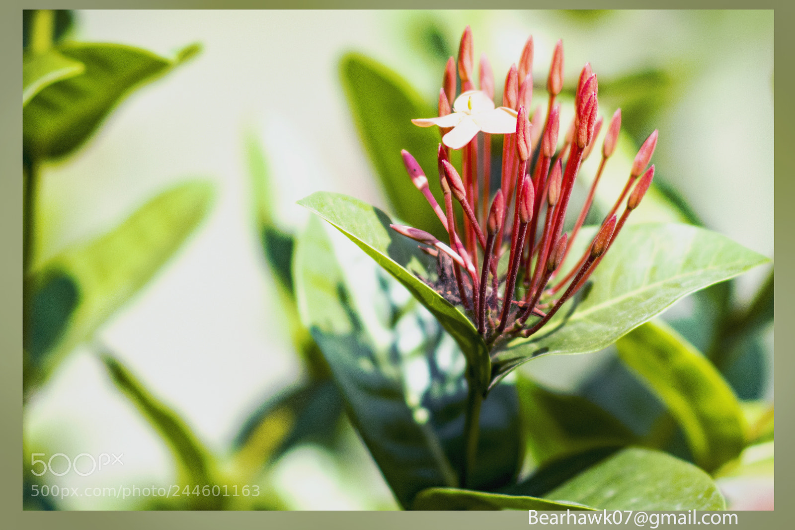 Nikon D7200 sample photo. 022.jpg photography