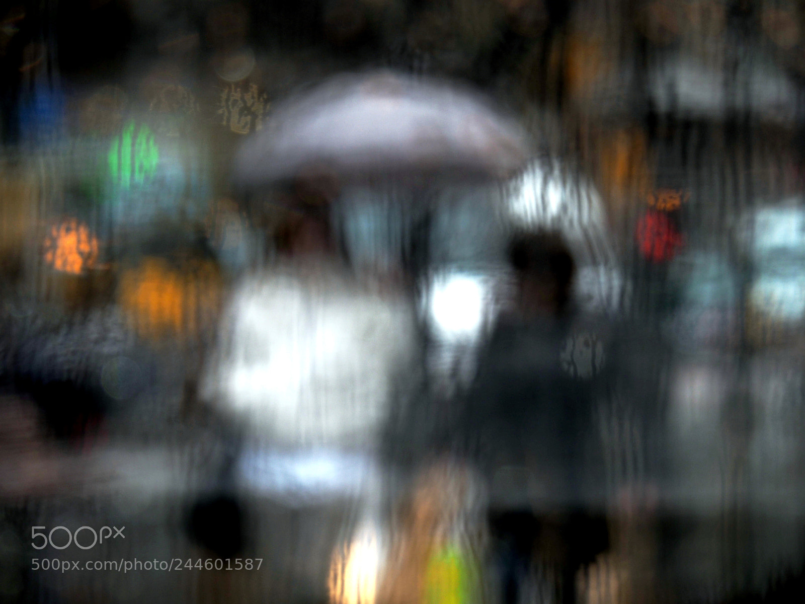 Olympus OM-D E-M5 II sample photo. Dia de pluja photography