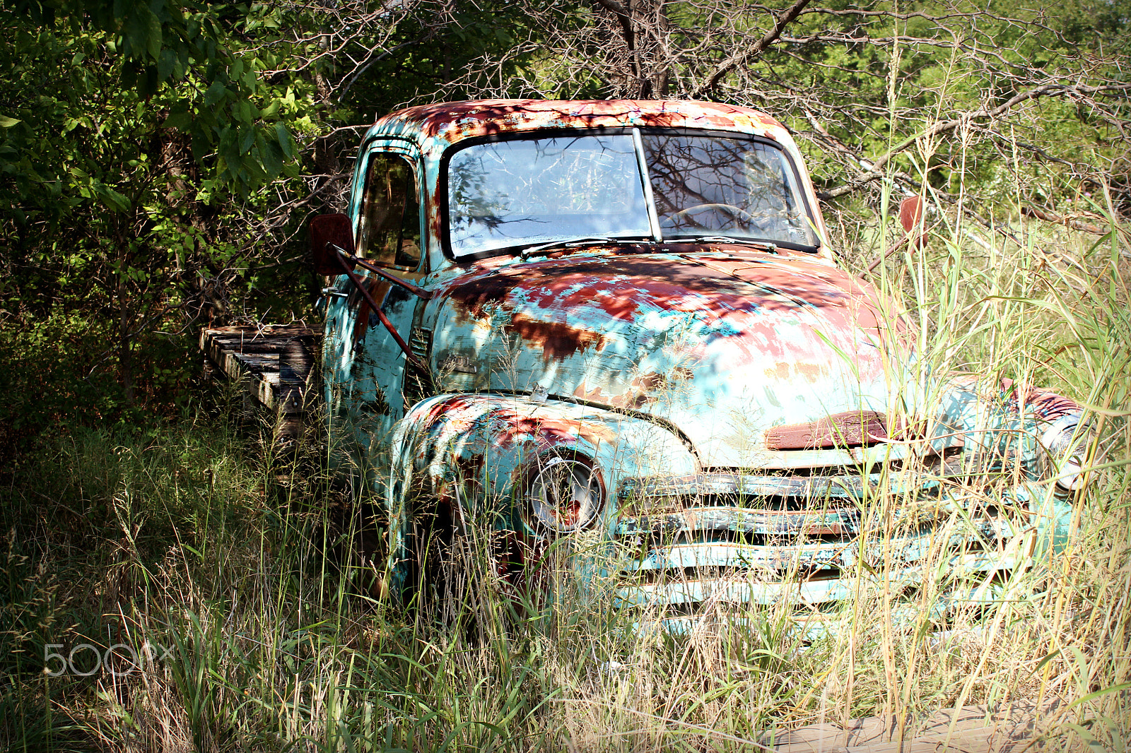 Canon EF 35-80mm f/4-5.6 sample photo. Edit photography