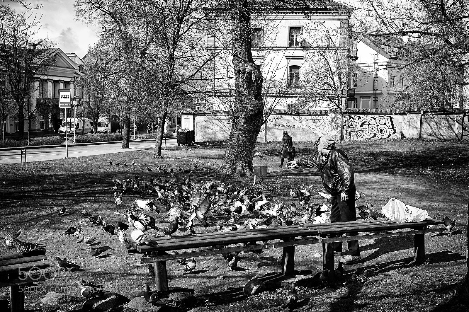 Nikon D700 sample photo. Feeding pigeons photography
