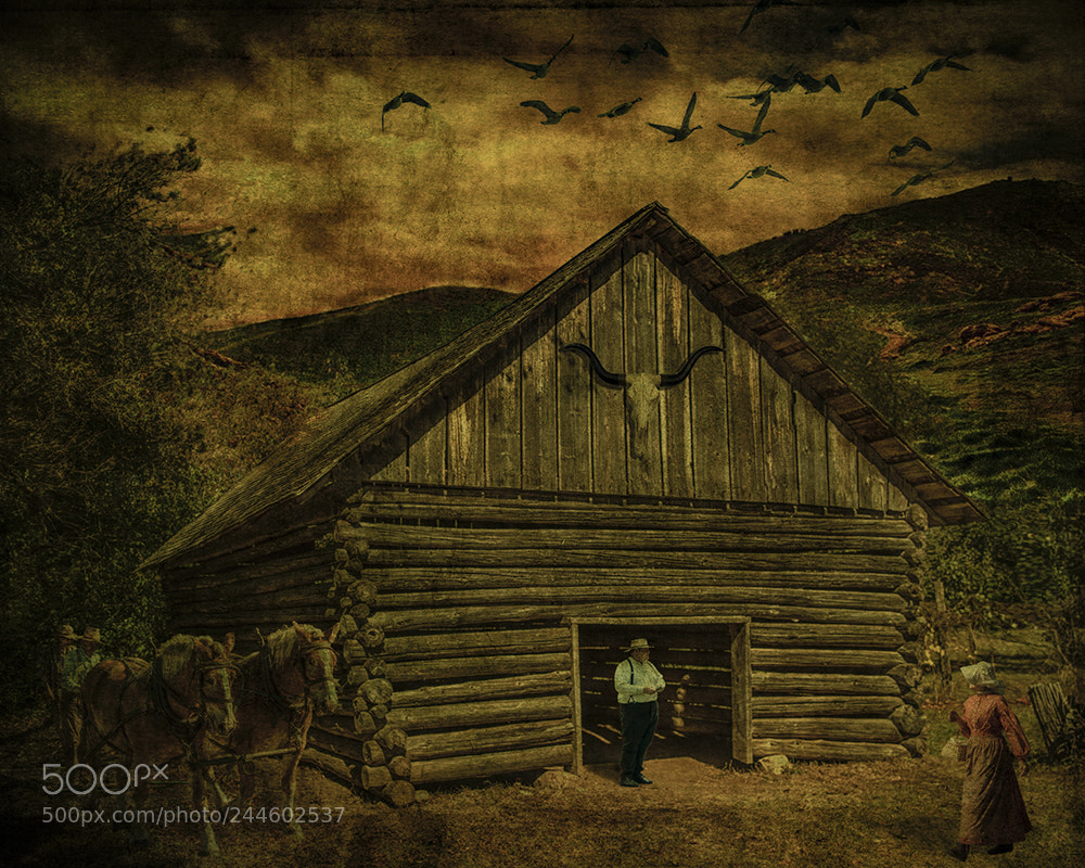 Nikon D810 sample photo. Log barn photography