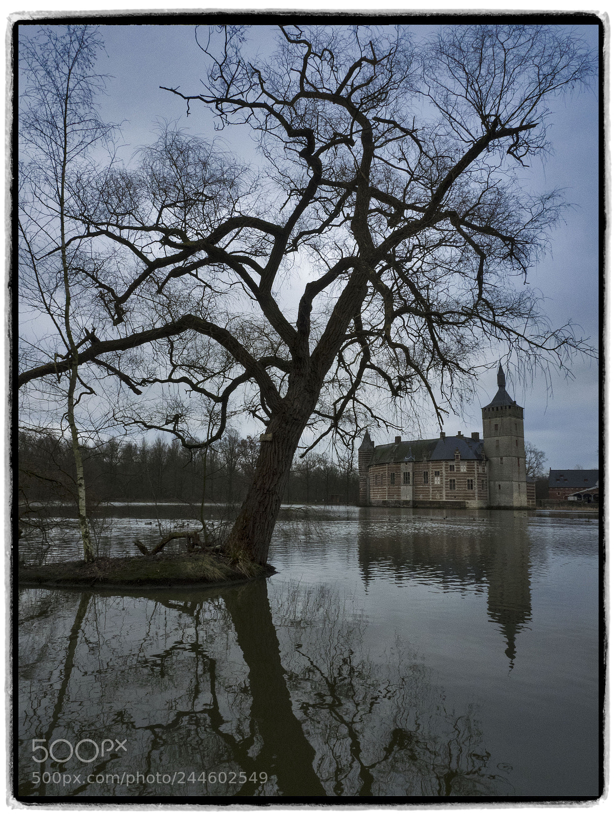 Olympus OM-D E-M1 sample photo. An island, a tree photography