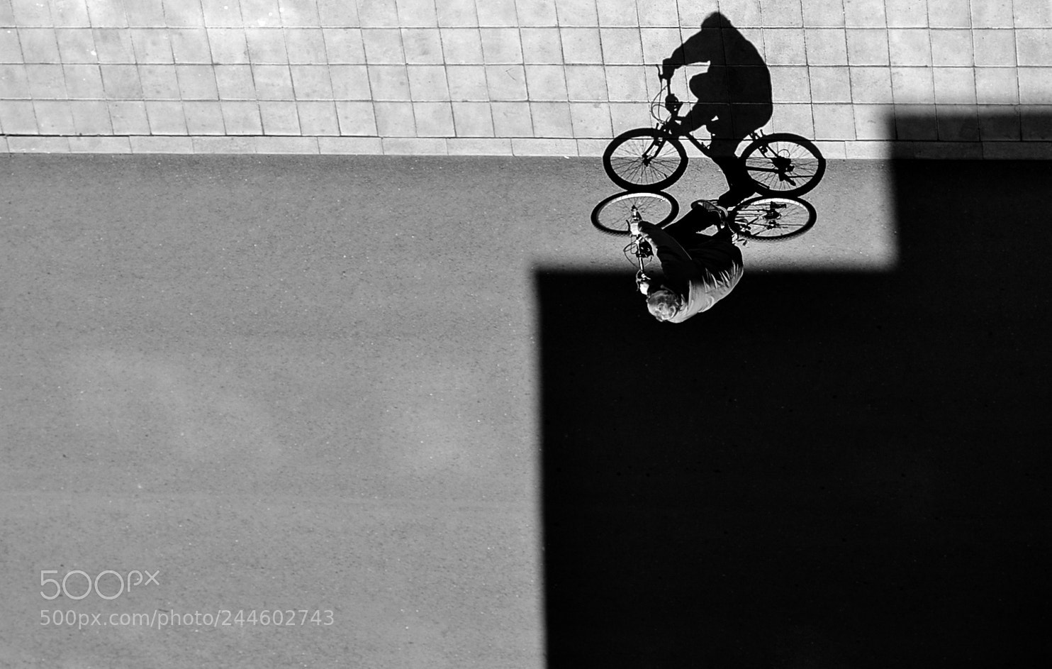 Nikon D3100 sample photo. A cyclist photography