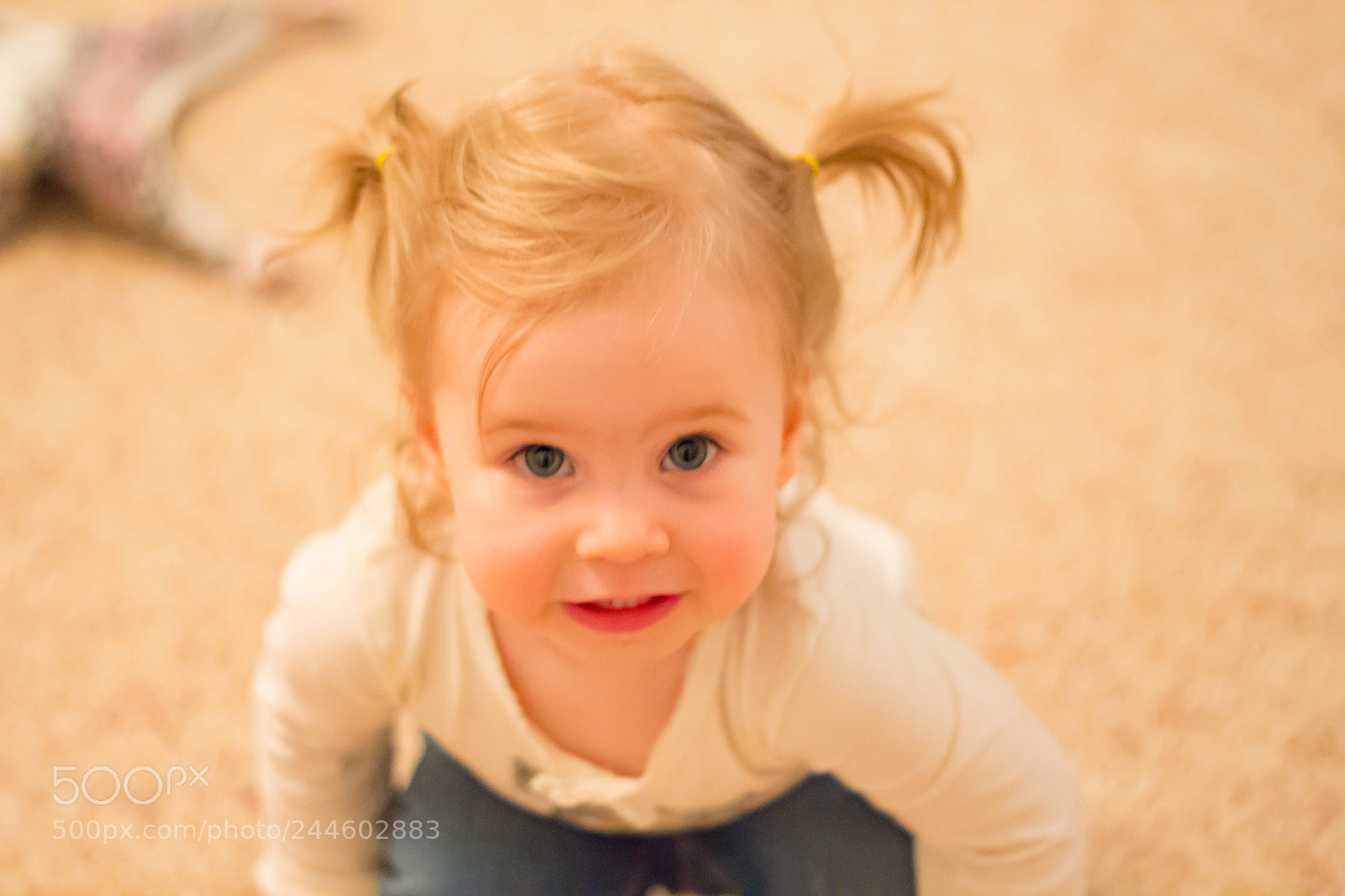 Canon EOS 700D (EOS Rebel T5i / EOS Kiss X7i) sample photo. Img photography