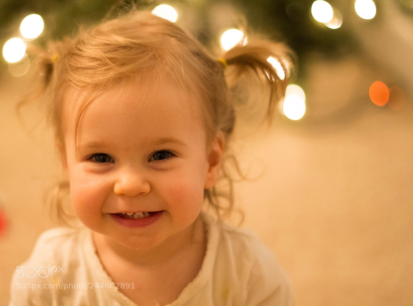 Canon EOS 700D (EOS Rebel T5i / EOS Kiss X7i) sample photo. Img photography