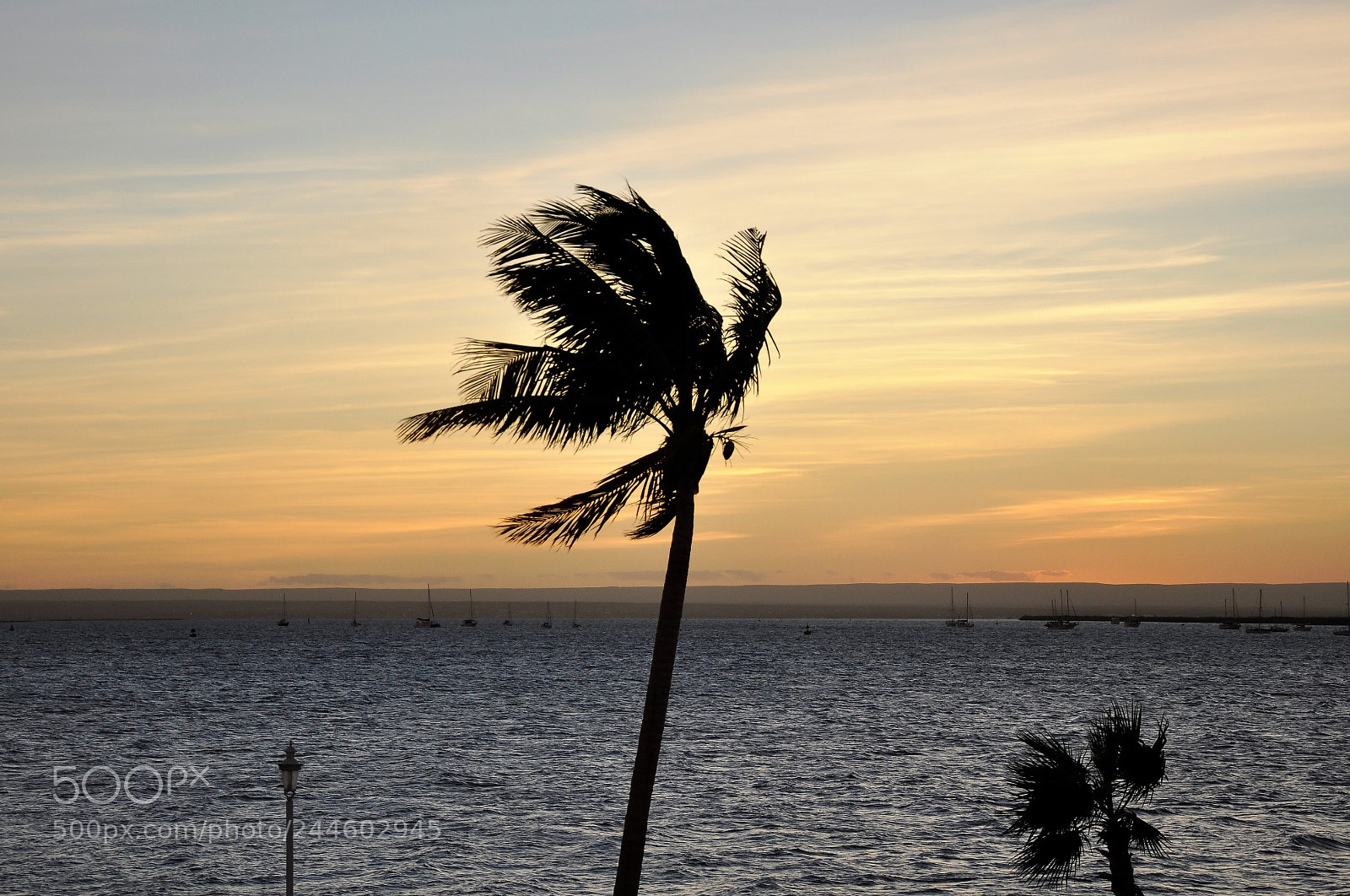 Nikon D90 sample photo. Post card photography