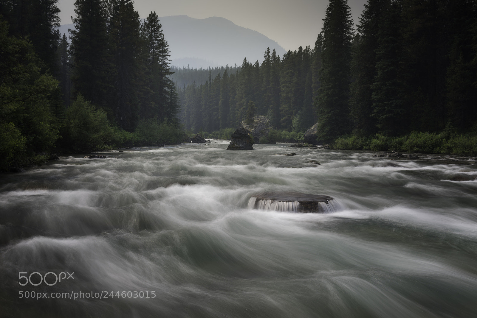 Nikon D810 sample photo. River rapids through the photography