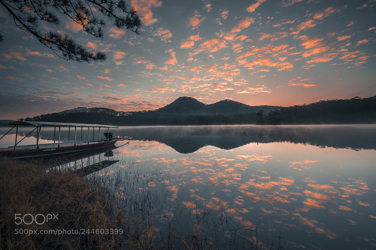 Sony a7R II sample photo. H tuy n l photography