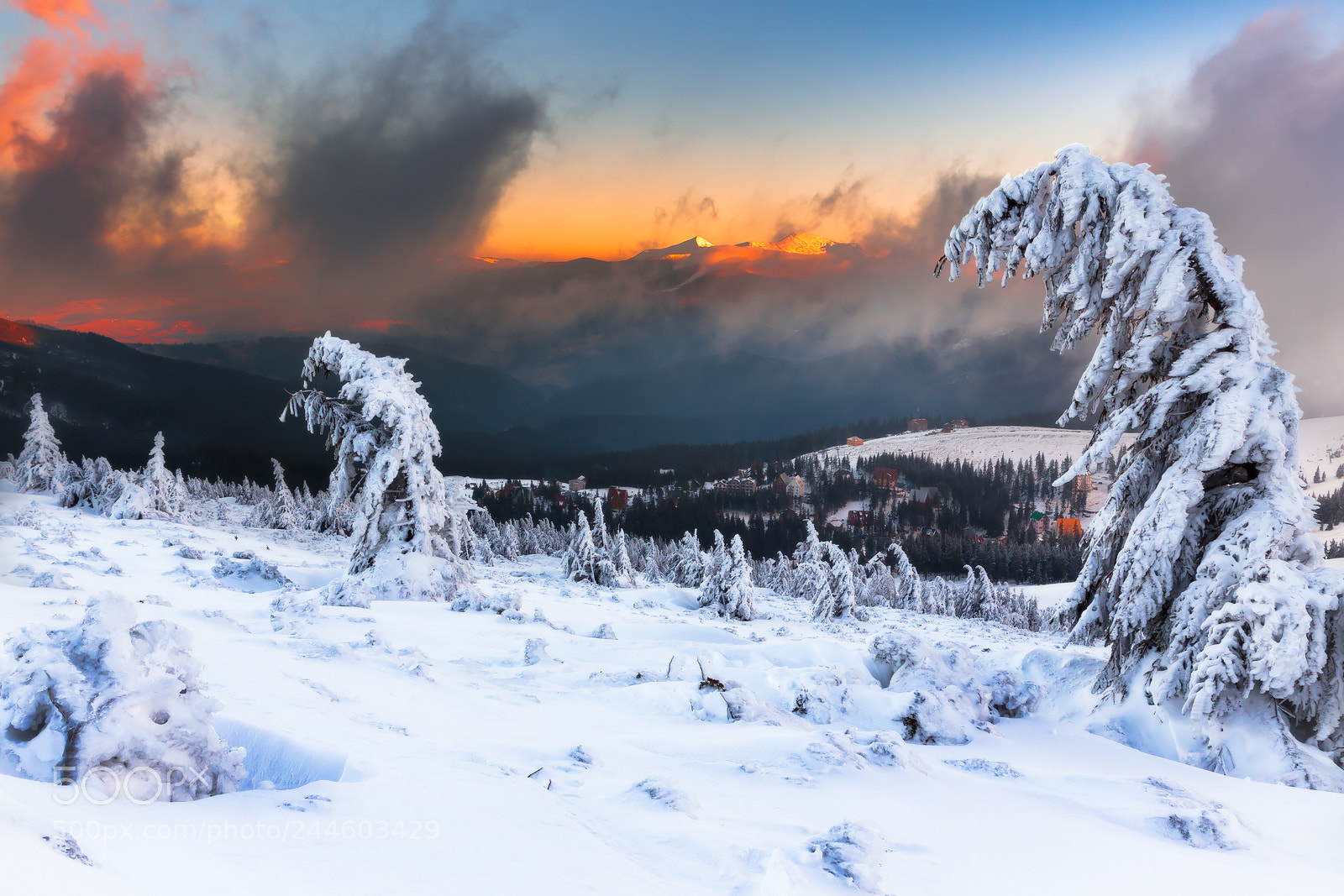 Canon EOS 50D sample photo. Winter in carpathian mountains photography