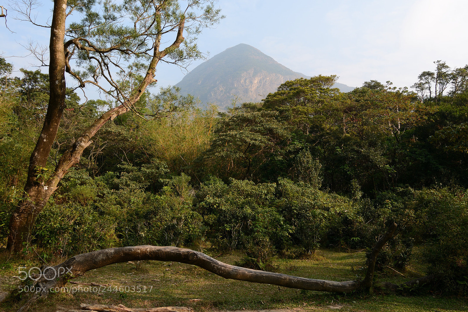 Nikon D7100 sample photo. Mountain on lantau island photography