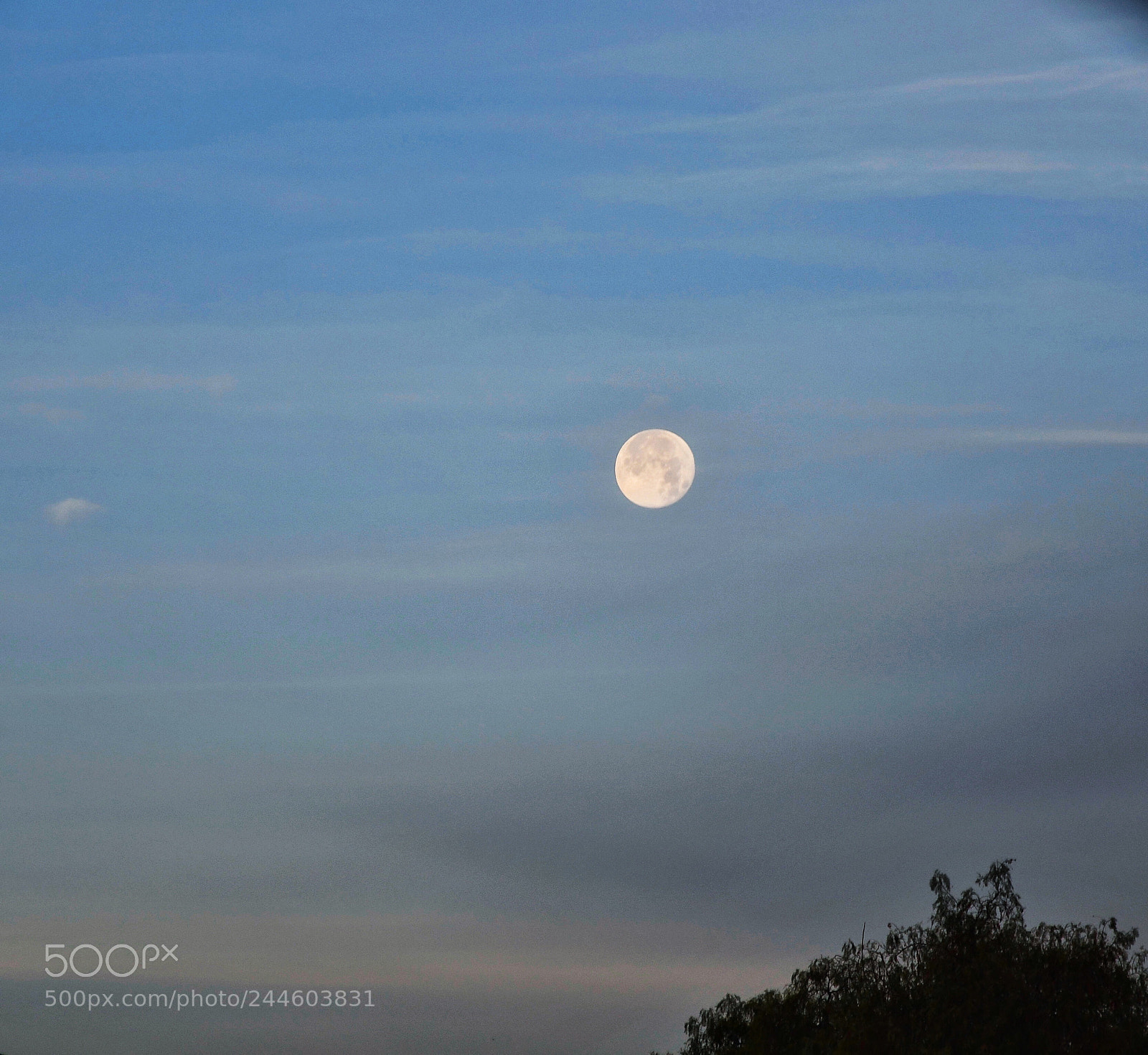 Nikon D7500 sample photo. The moon. photography