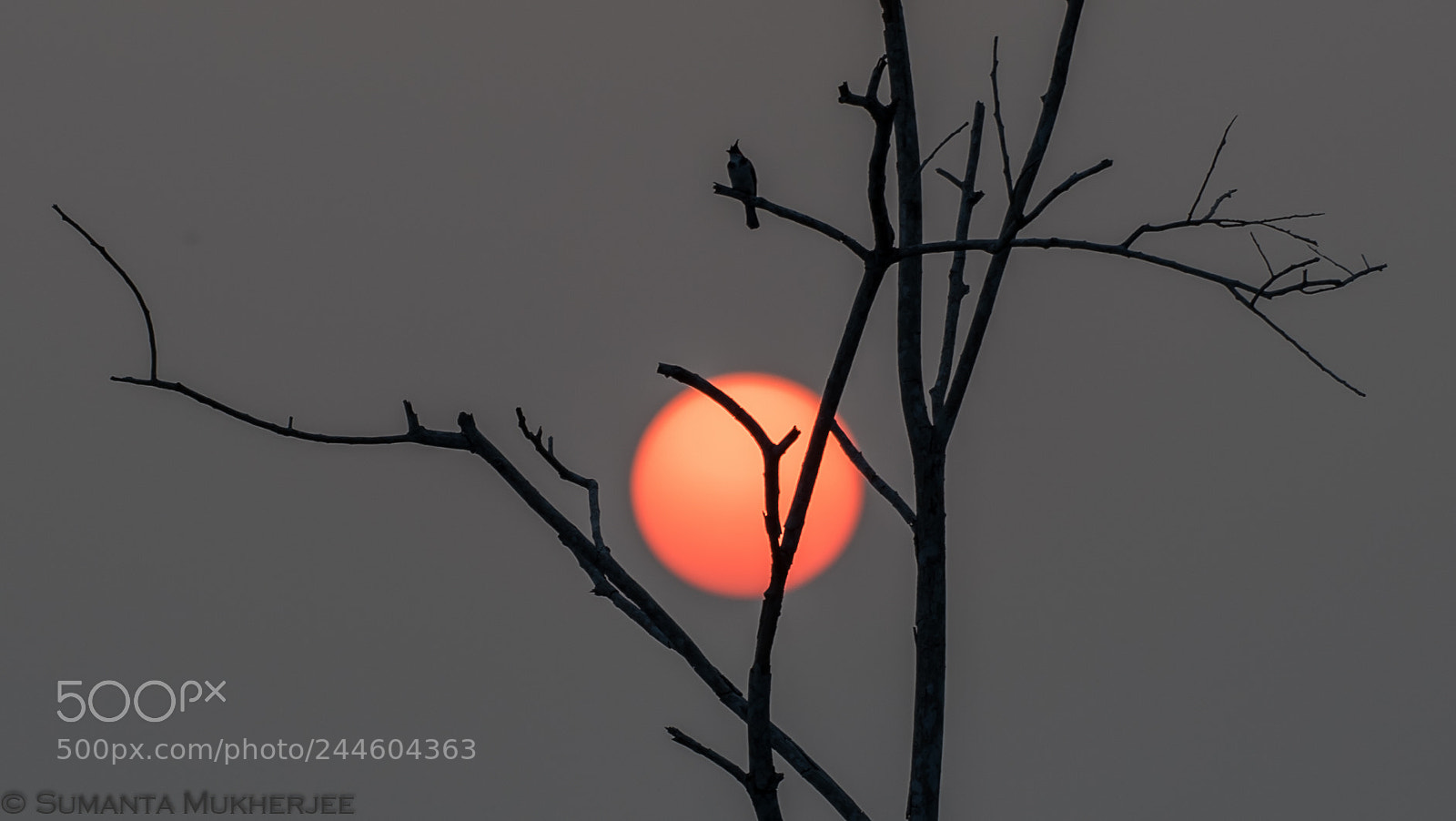 Nikon D810 sample photo. Dusk photography