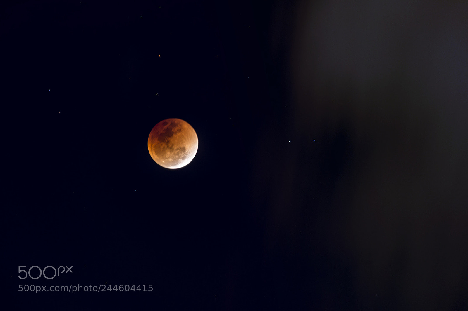 Nikon Df sample photo. Moon eclipse 2018-1-31 photography