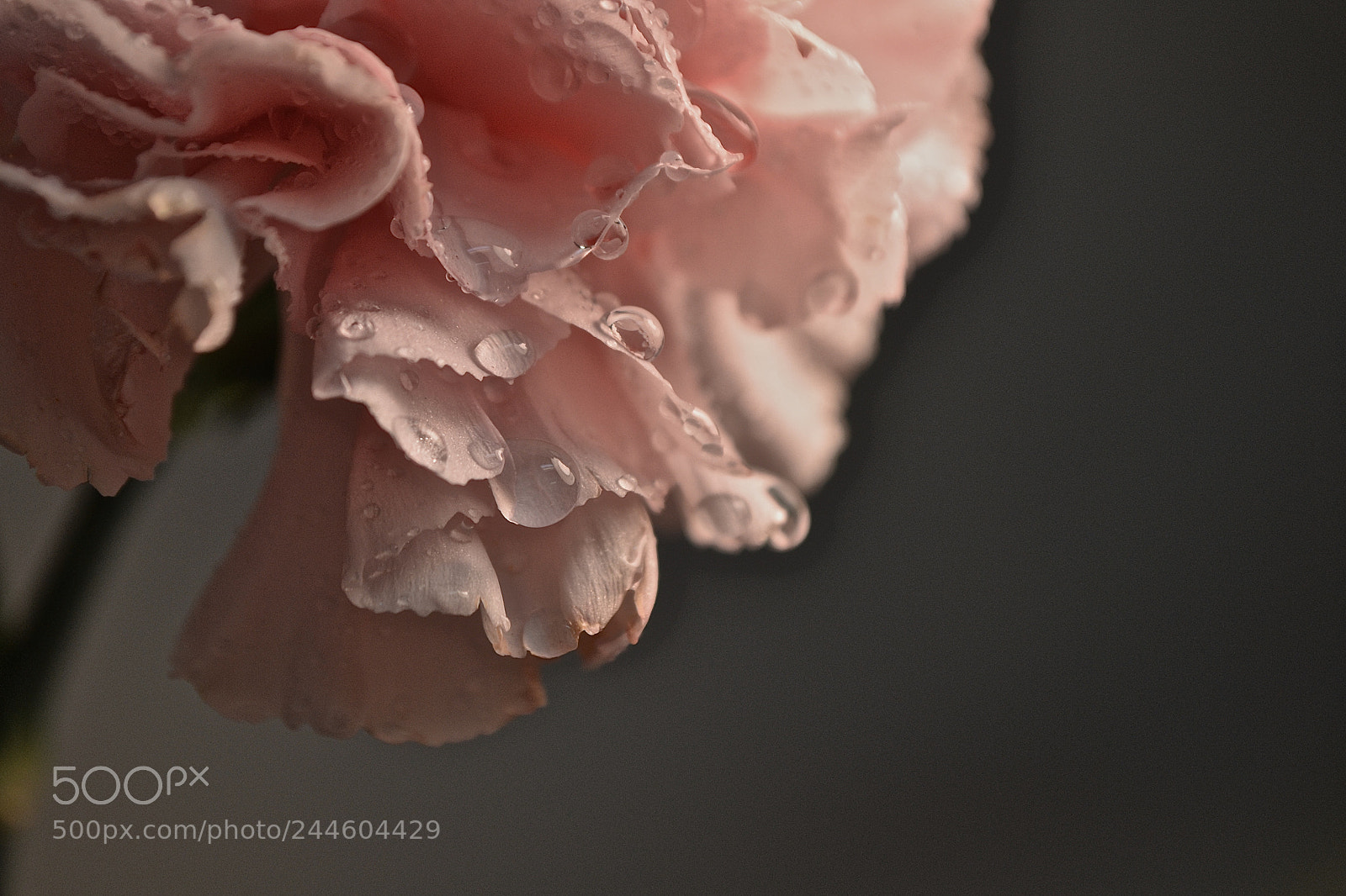 Nikon D3100 sample photo. Relief photography