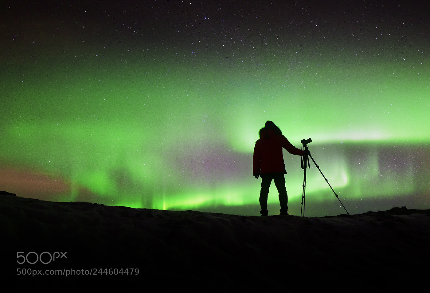Nikon D850 sample photo. Aurora hunter photography