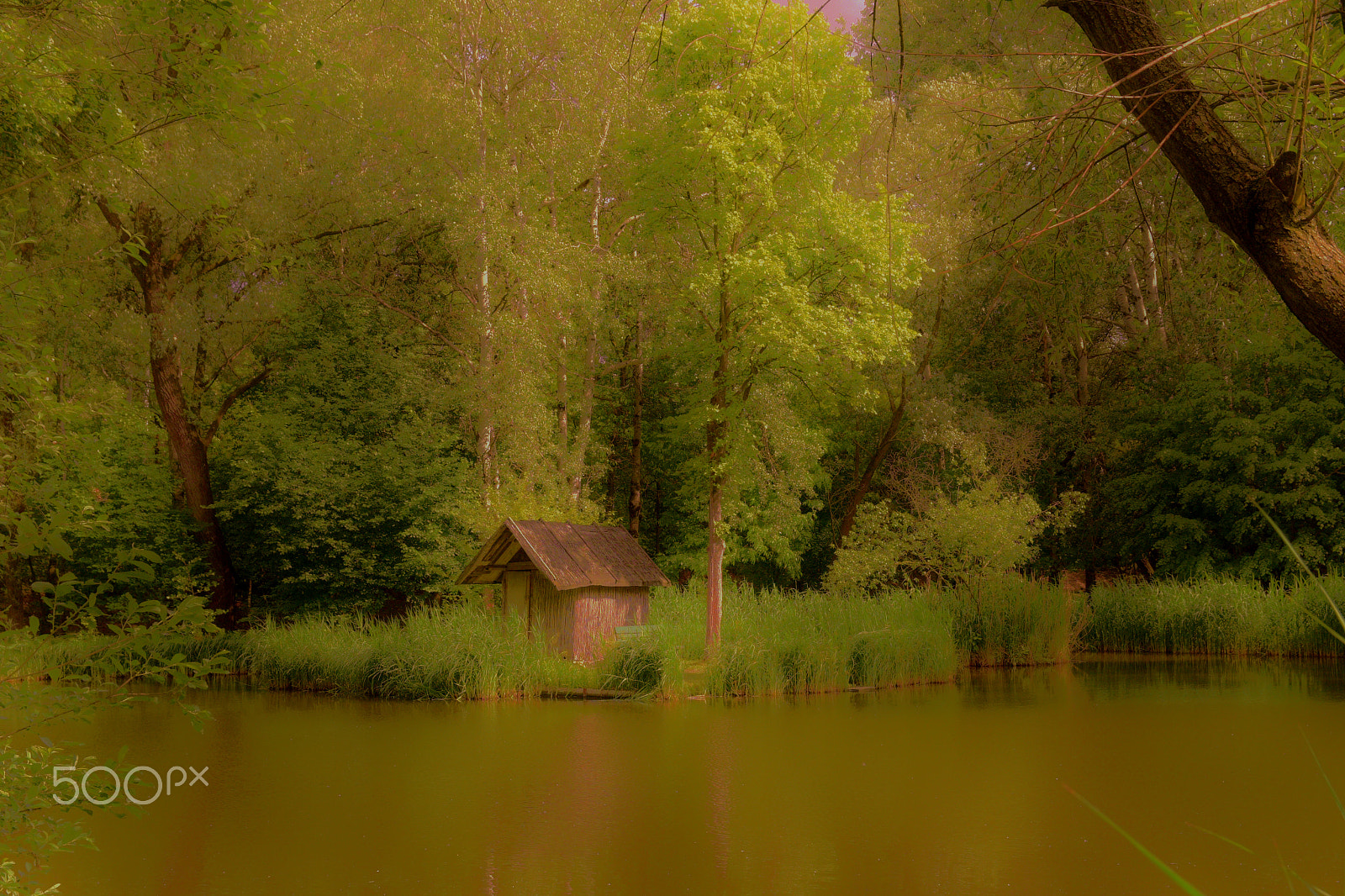 Sigma 17-70mm F2.8-4 DC Macro OS HSM | C sample photo. The lake house photography