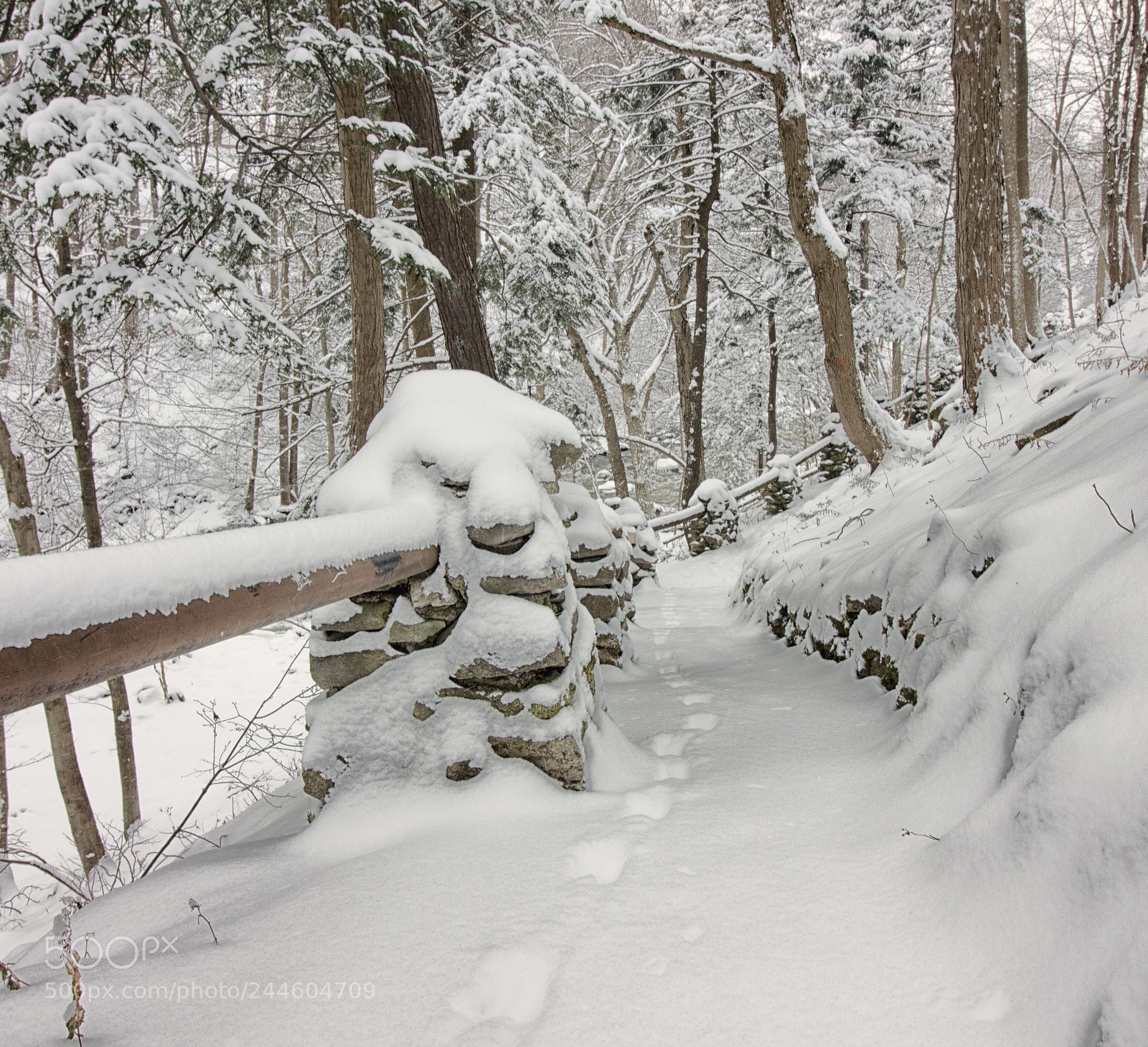 Canon EOS 550D (EOS Rebel T2i / EOS Kiss X4) sample photo. Snowy trail photography