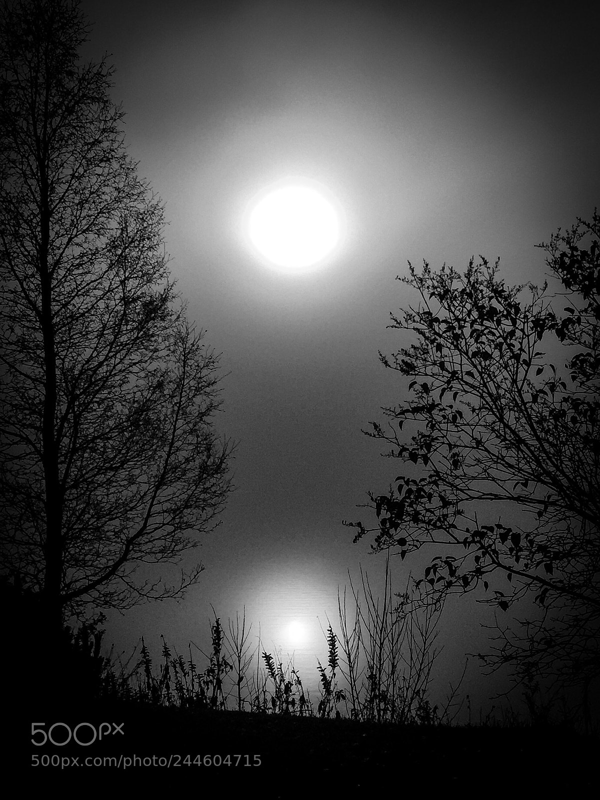 Apple iPhone 6 sample photo. No 1...mary komasa-lost me photography