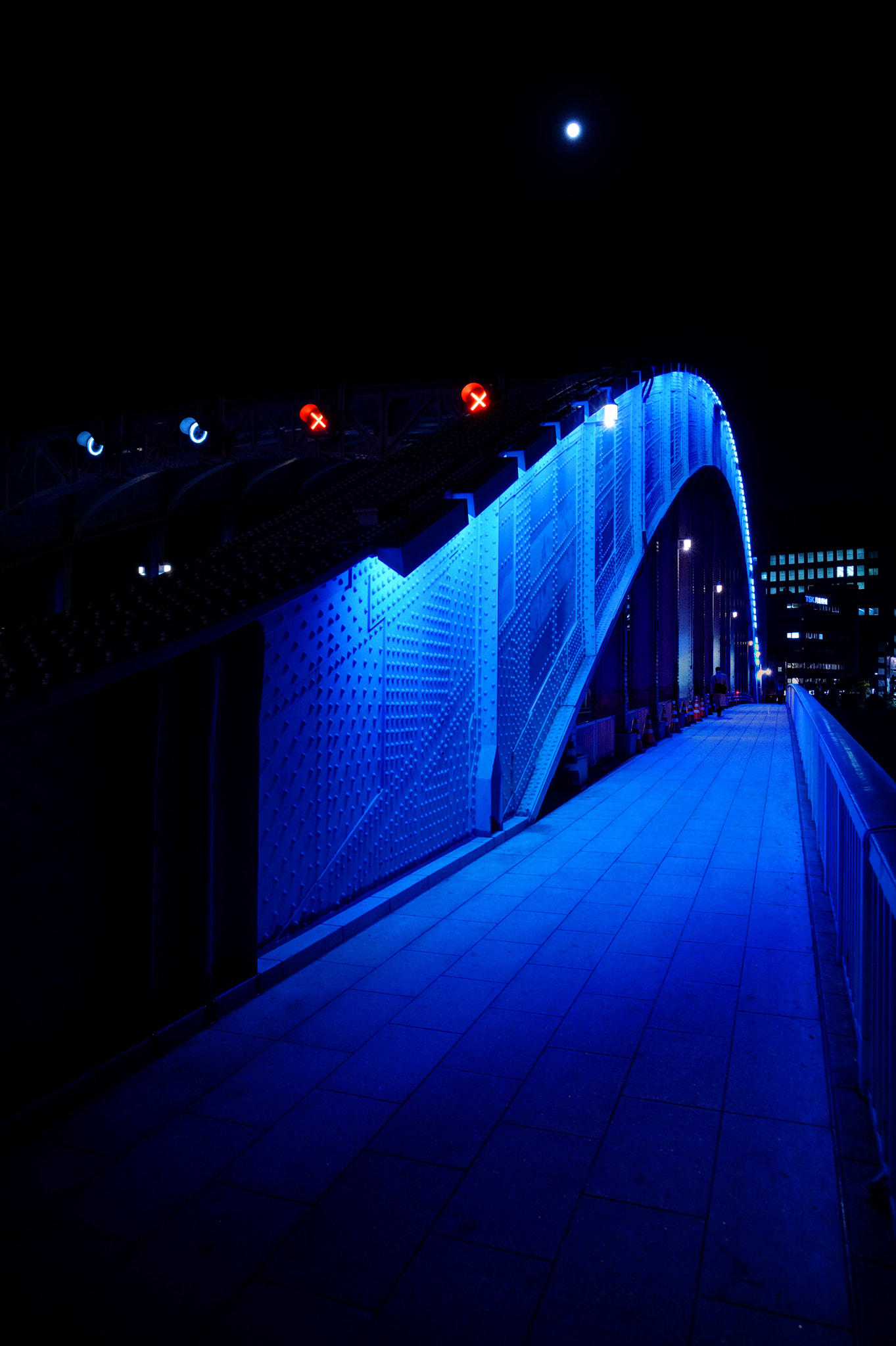 Sony FE 24-240mm F3.5-6.3 OSS sample photo. Bridge photography