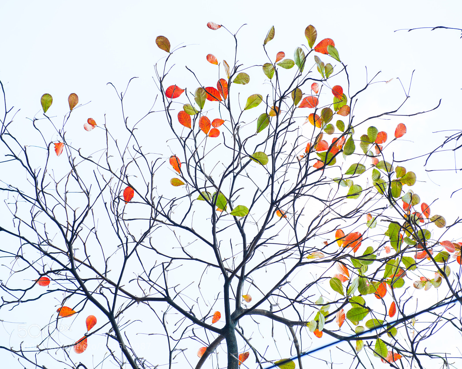 Nikon D800E sample photo. New season is coming photography