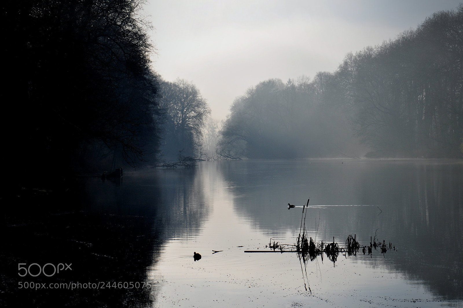 Nikon D5000 sample photo. Parc d'enghien photography