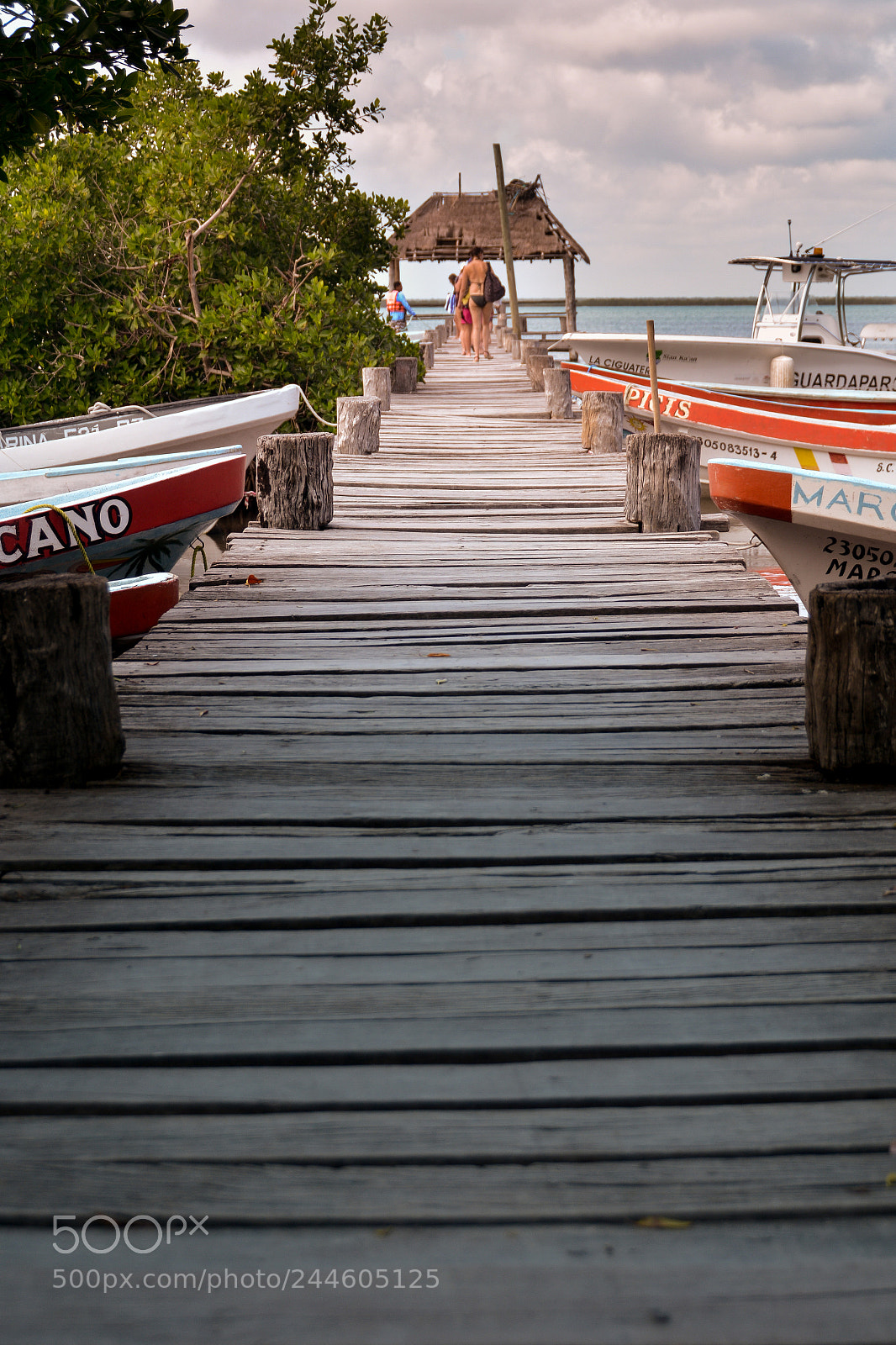 Nikon D7100 sample photo. Au bout du chemin photography