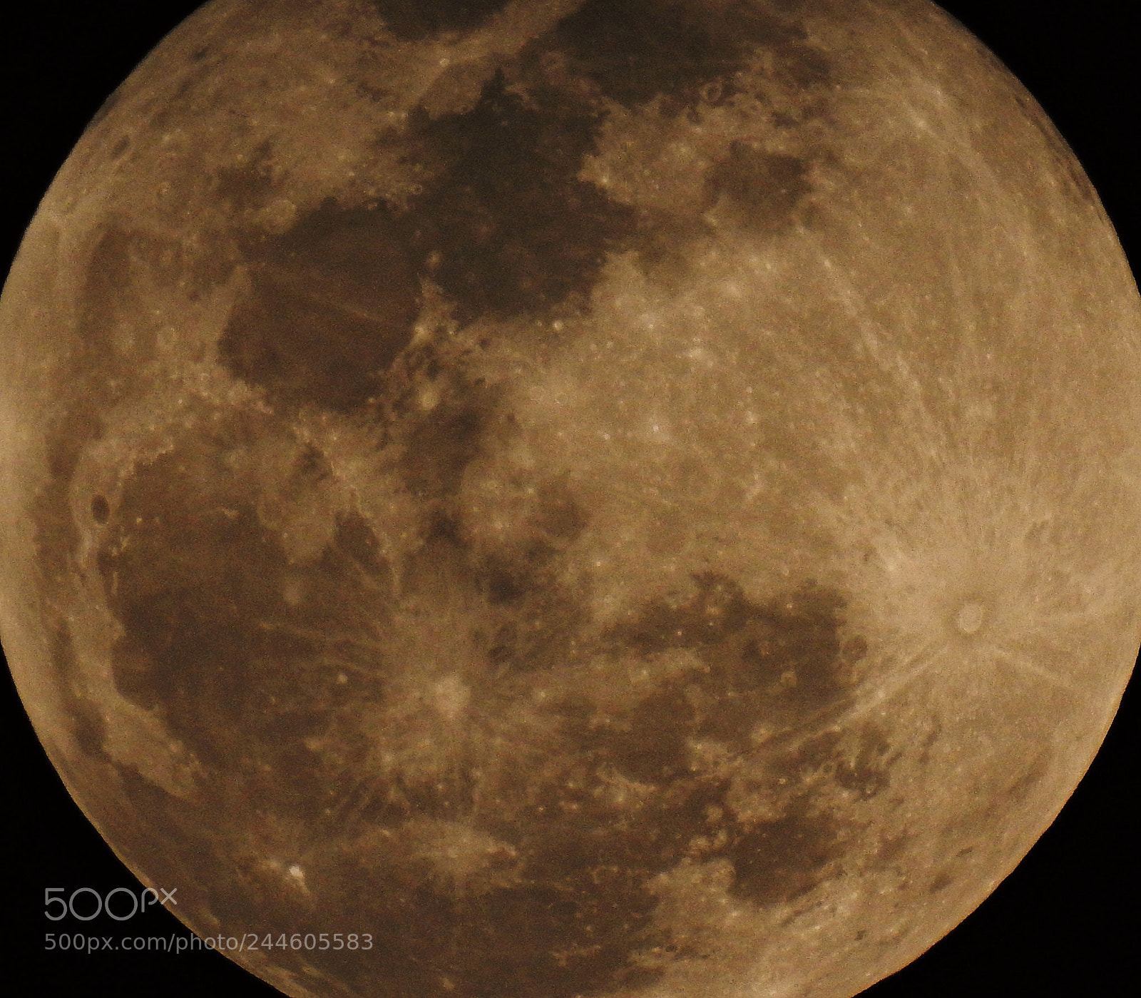 Nikon Coolpix P900 sample photo. Super moon of 31-1-2018 photography