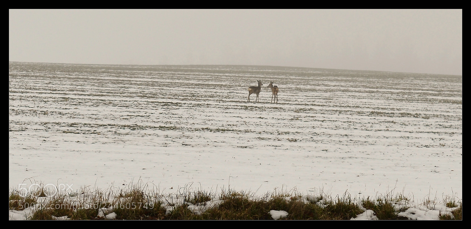 Nikon D3200 sample photo. Love... photography