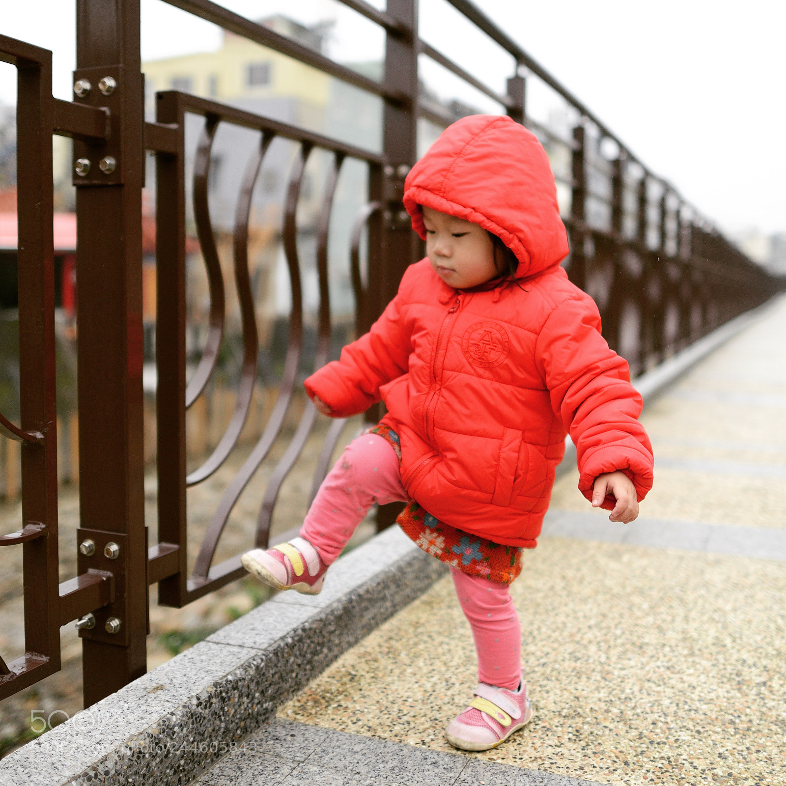 Nikon D800 sample photo. Untitled photography