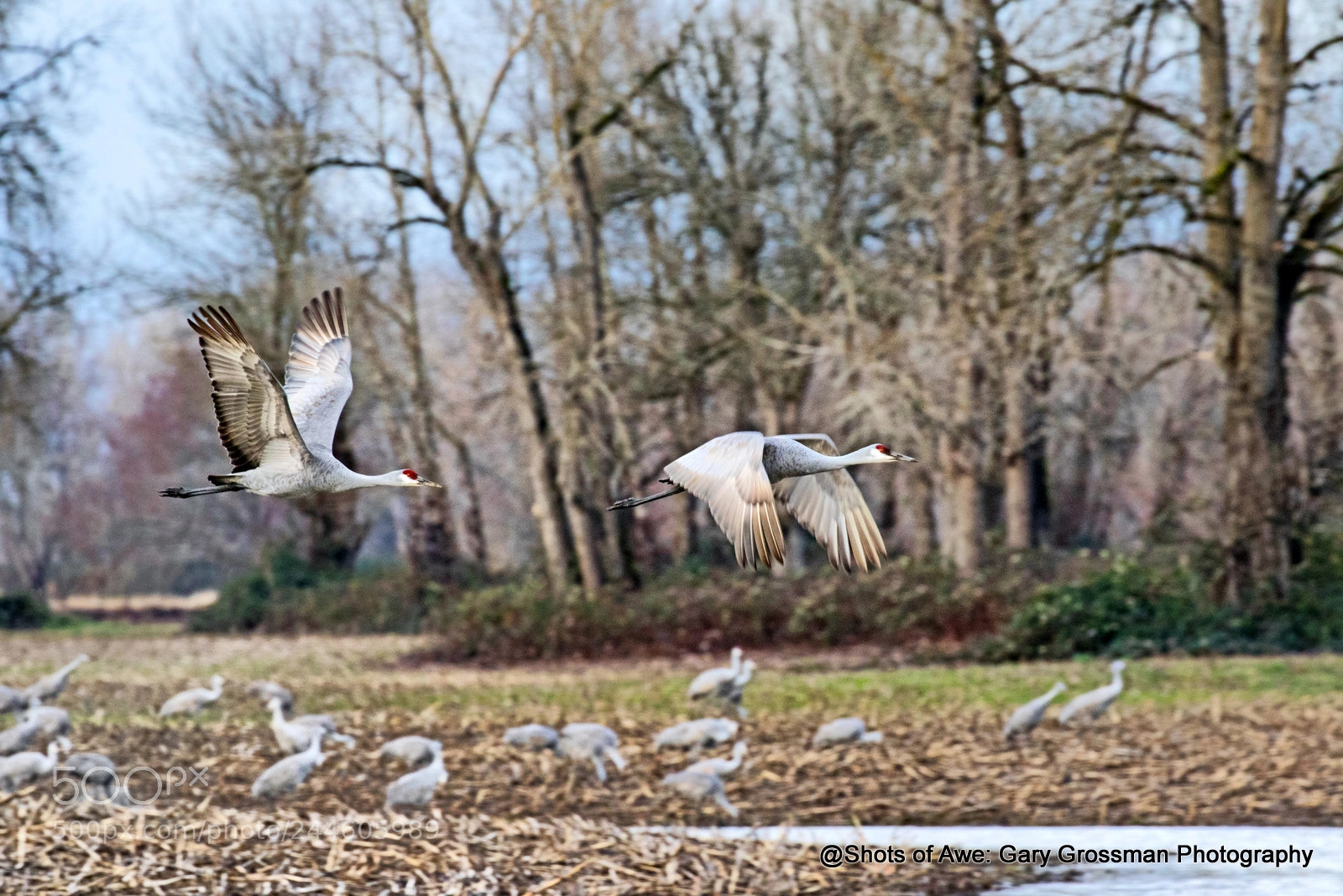 Canon EOS 7D Mark II sample photo. Sandie 'scape photography