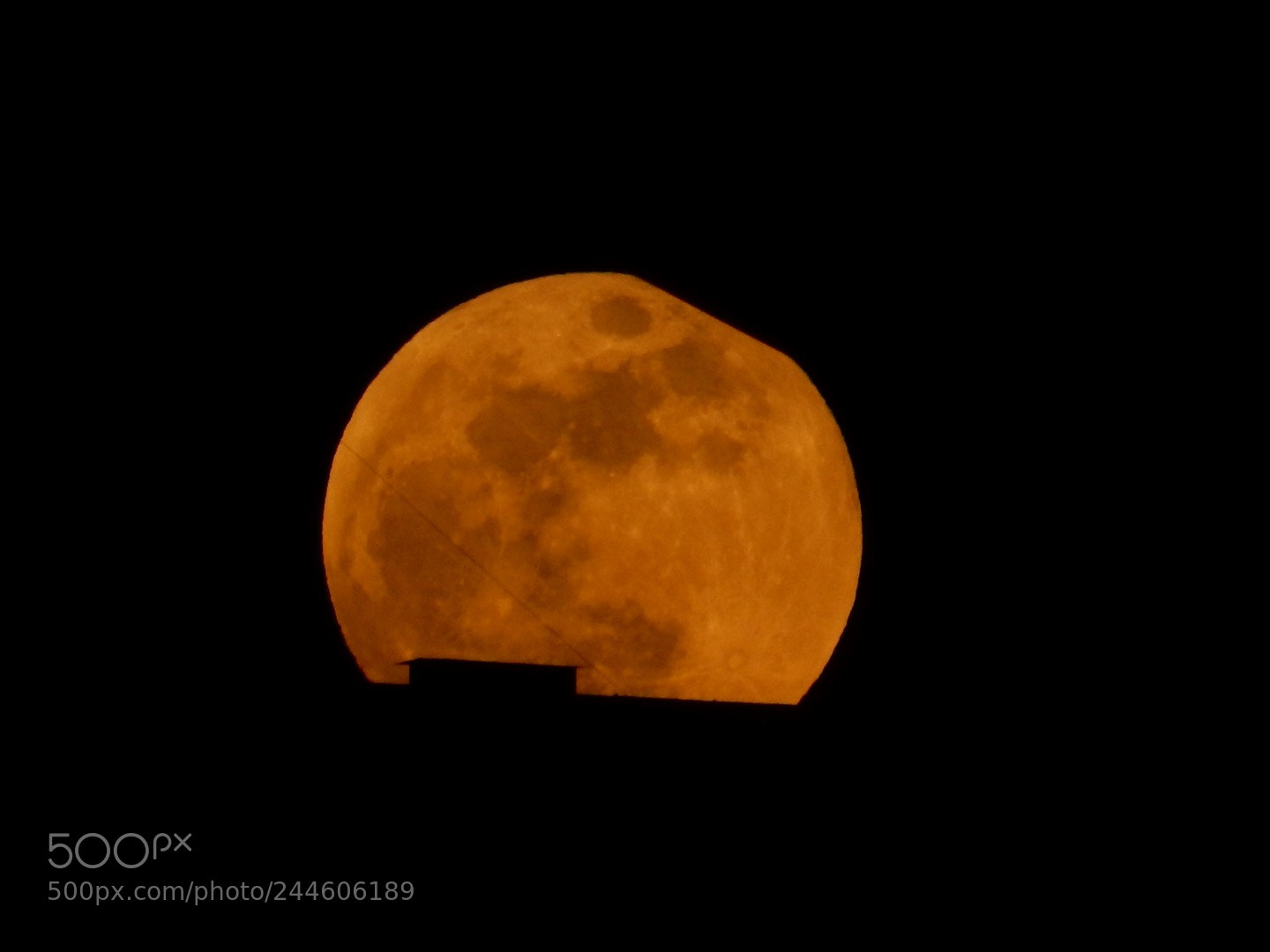 Nikon Coolpix S9900 sample photo. Super blue blood moon photography