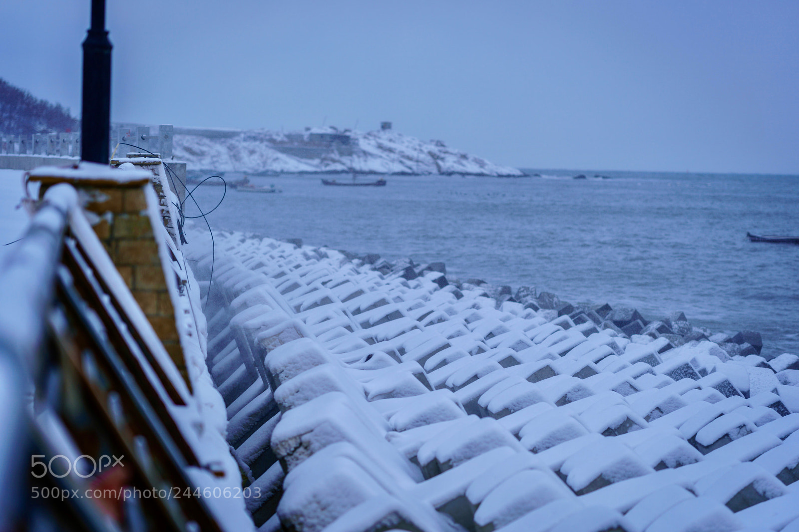 Sony a9 sample photo. Cold photography