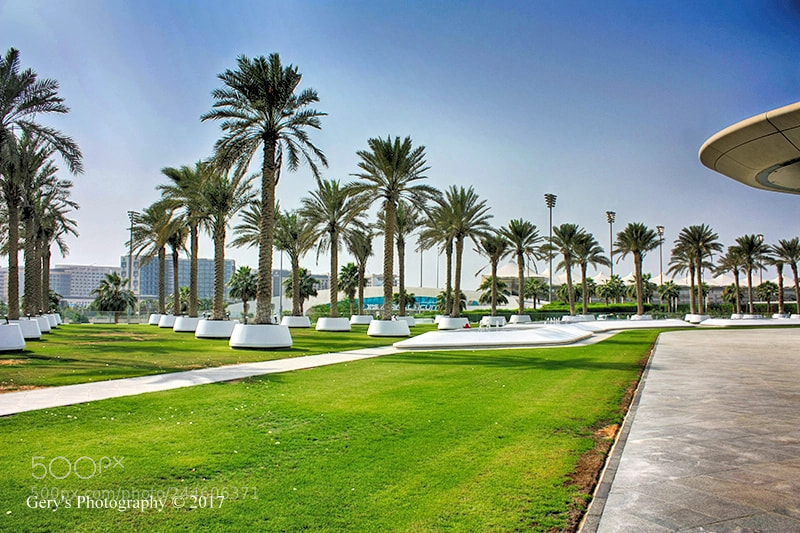 Canon EOS 450D (EOS Rebel XSi / EOS Kiss X2) sample photo. Yas marina circiut f1 photography