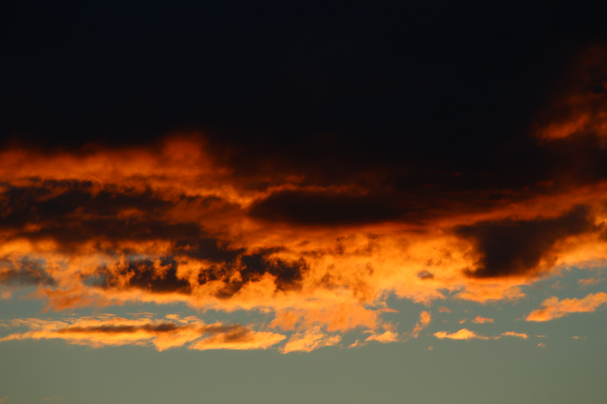 Canon EF 70-300mm F4-5.6 IS USM sample photo. Imuris photography