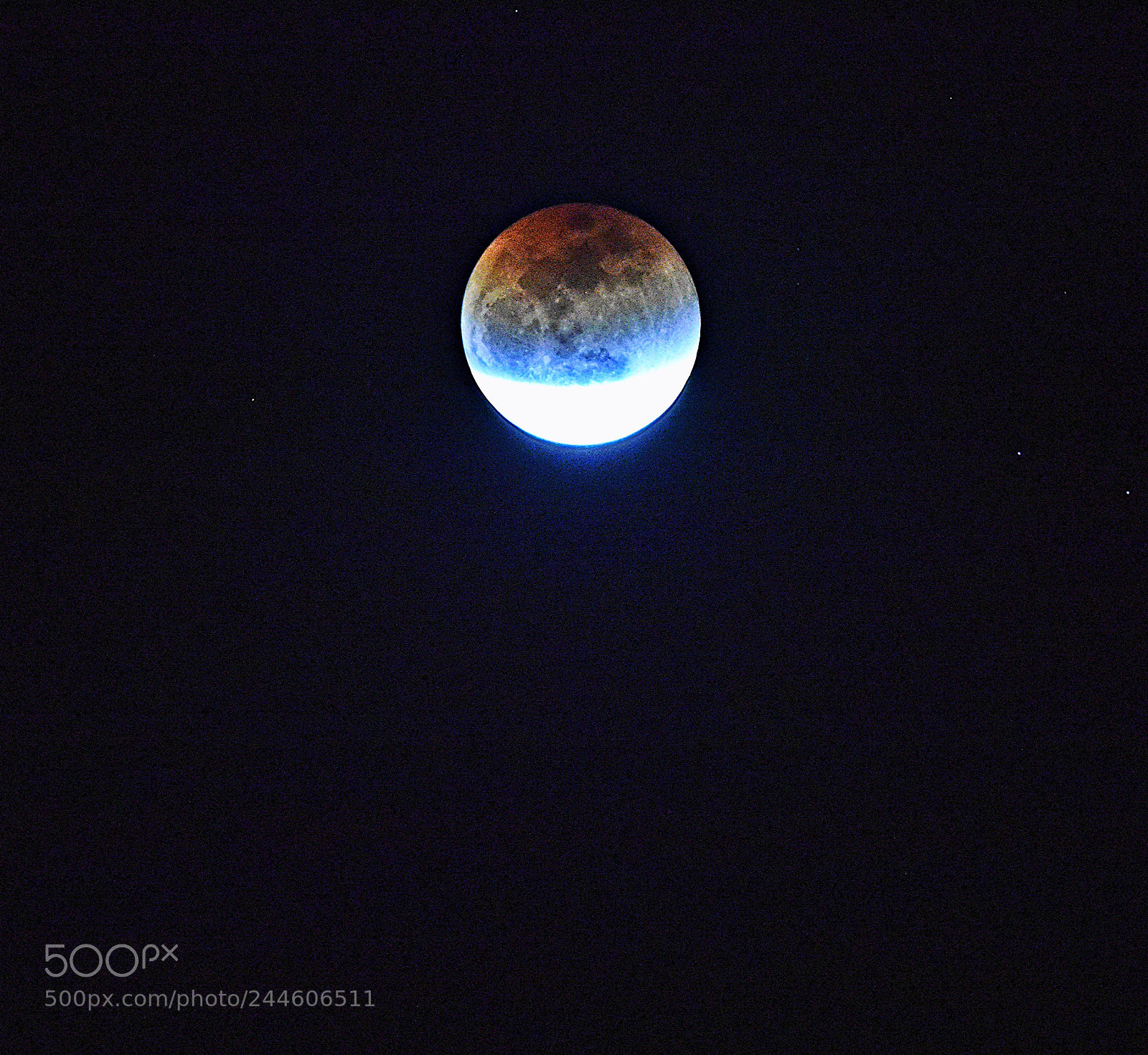 Nikon D810 sample photo. Untitled photography