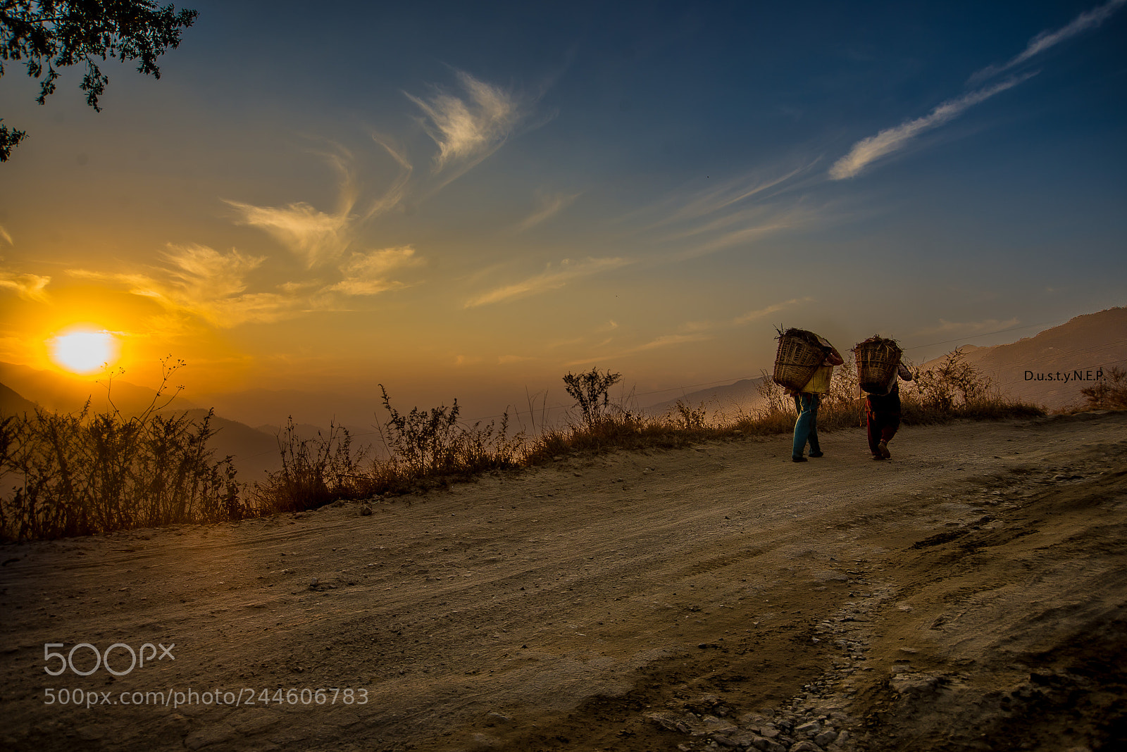 Nikon D610 sample photo. The sunset photography
