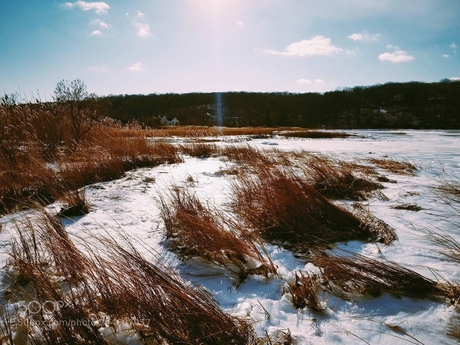 Samsung Galaxy S8 sample photo. Frozen photography