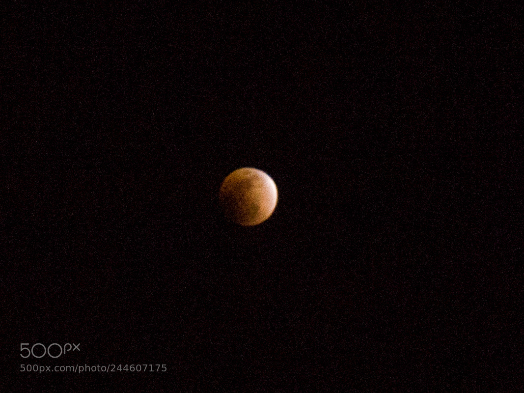 Sony a7 sample photo. The big blood moon photography