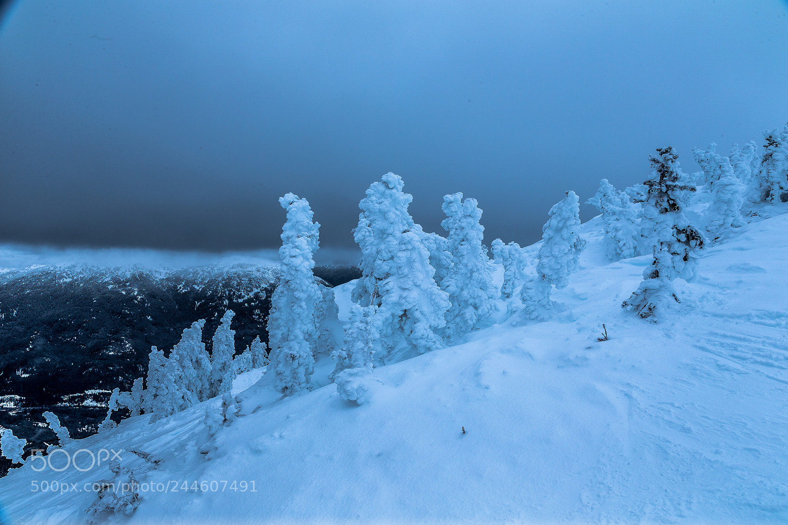Canon EOS-1D X sample photo. The peak lookout whistler photography