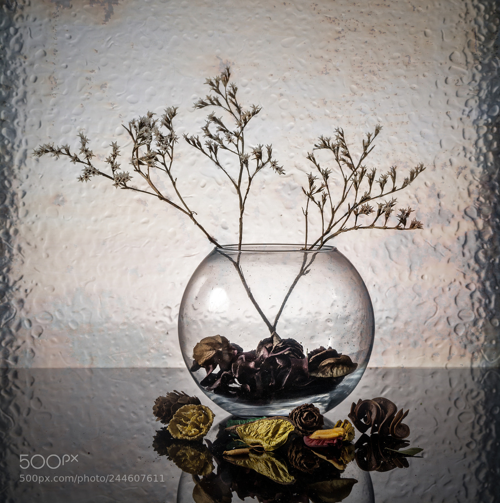 Nikon D7100 sample photo. Fishbowl photography